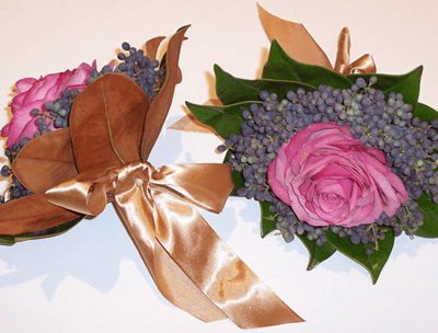 Screen Shot 2018-11-21 at 11.22.25 am